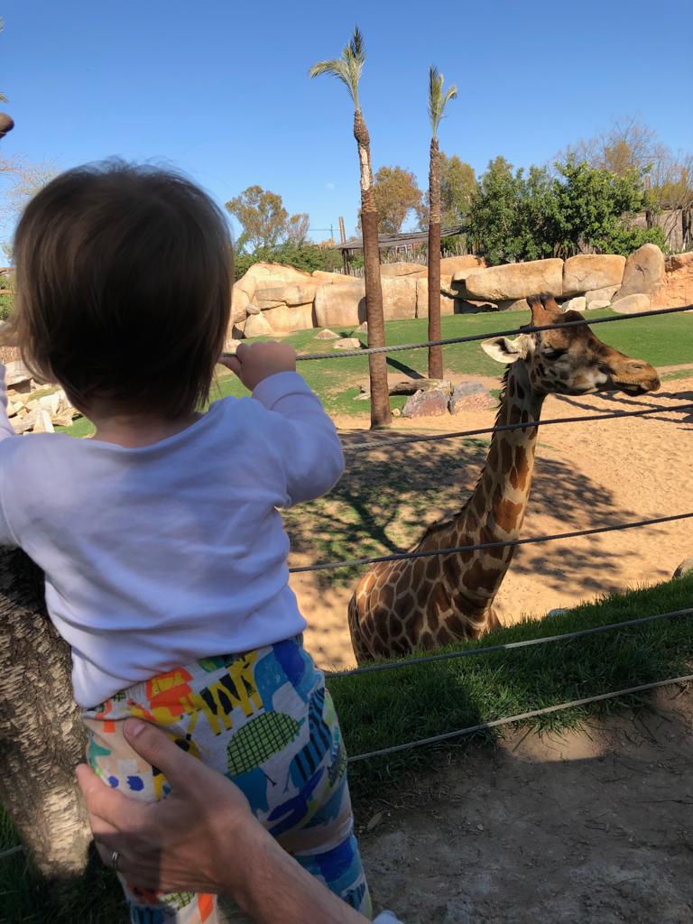 bioparc valencia